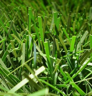 v�no�n� strome�ek na v�noce